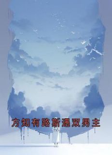 方知有路斯遇双男主小说(完本)-方知有路斯遇无错版阅读