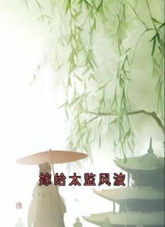 精品小说嫁给太监风波全文目录畅读